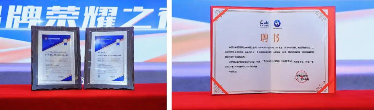 海山游乐荣获“水上游乐行业国际影响力品牌” 引领行业发展新高度 