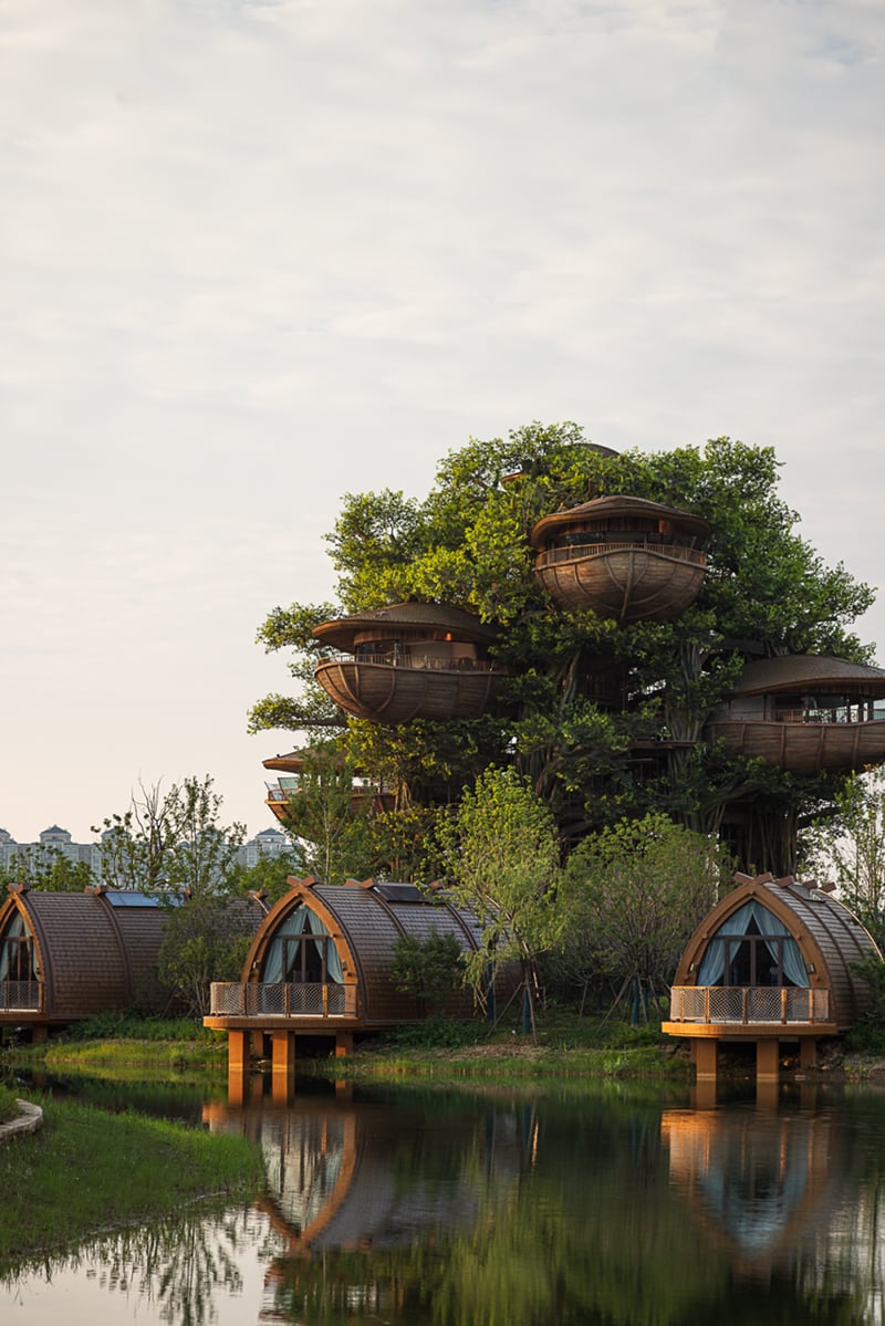 国际认可！武汉城建开元森泊度假乐园斩获2025伦敦设计奖铂金奖